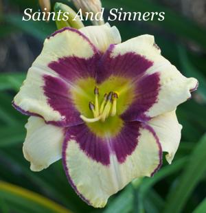 Saints And Sinners