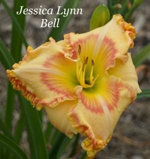 Jessica Lynn Bell