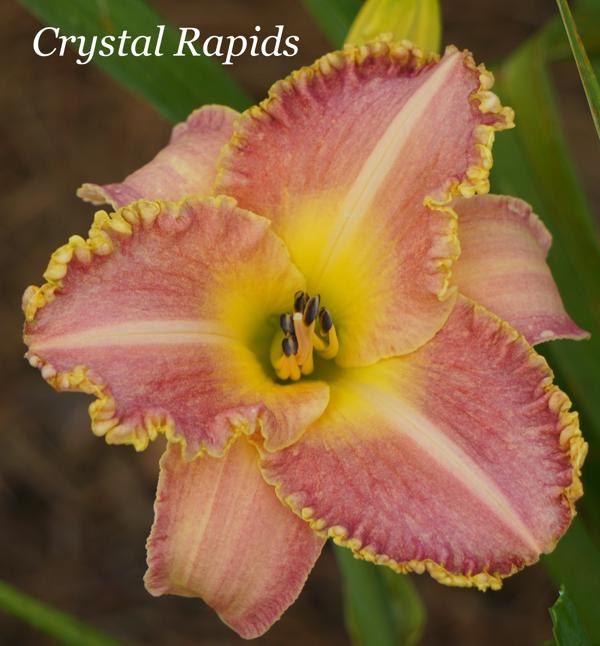 Crystal Rapids 001