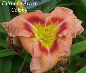 Fairhope Artist Colony