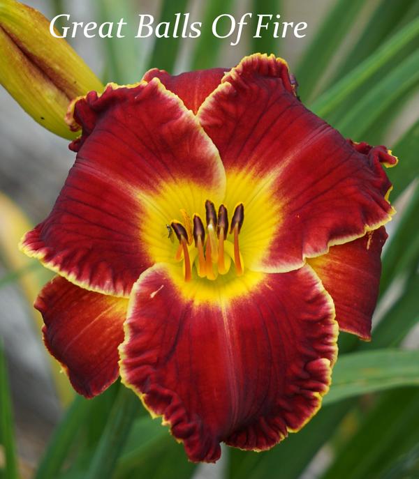 Great Balls Of Fire