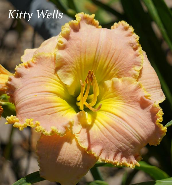 Kitty Wells2 001