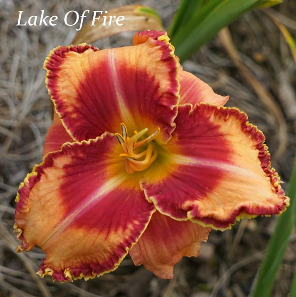 Lake Of Fire