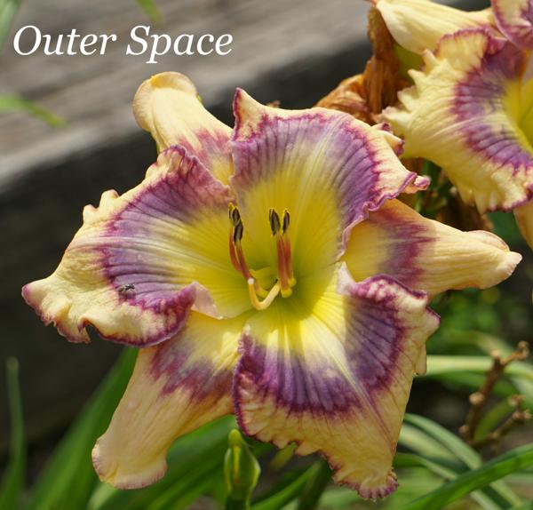 Outer Space2